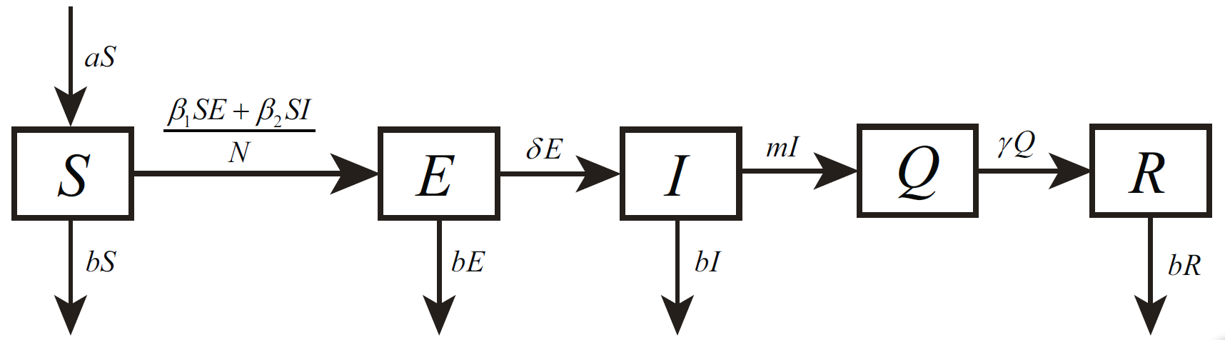 FIG. 1: Transmission diagram of COVID-19 in Wuhan before lockdown. S(t), E(t), I(t), Q(t) and R(t) represent the susceptible, exposed, infected, confirmed and removed populations.