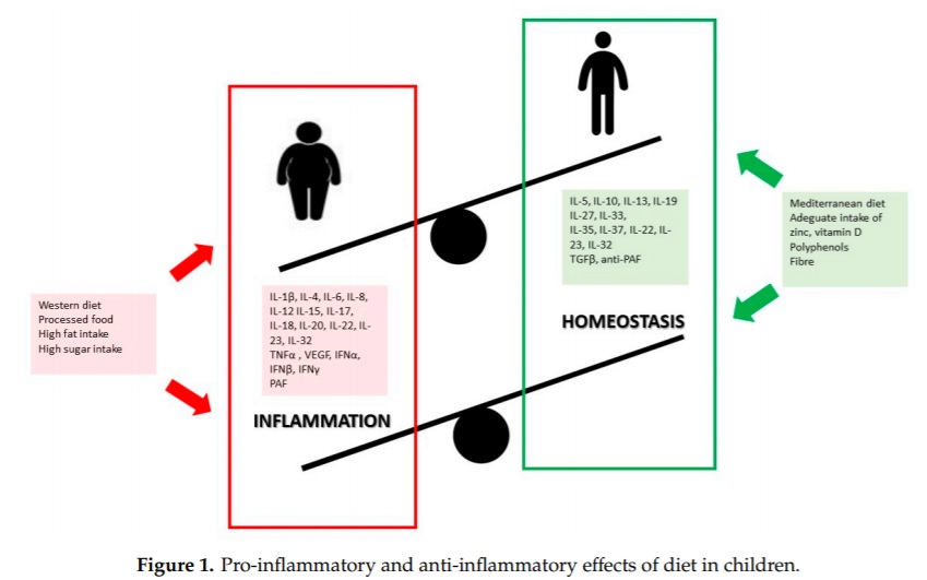 Pro-inflammatory and anti-inflammatory effects of diet in children.