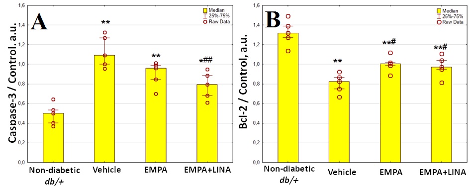 Fig. 6 A, B