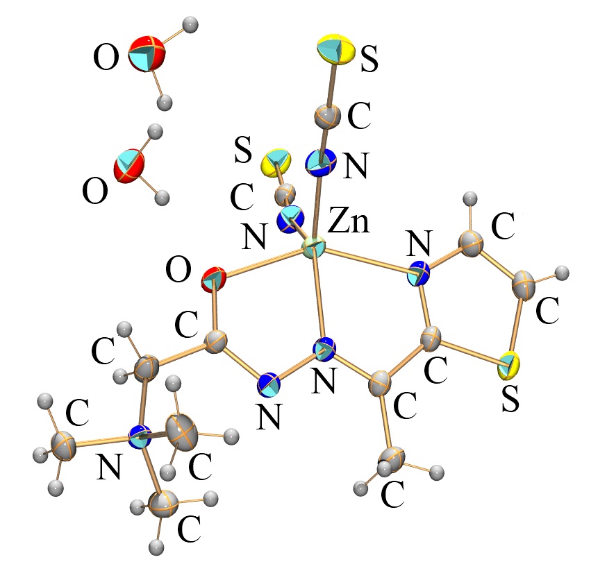 Zn Ii Hydrazone Complexes Encyclopedia