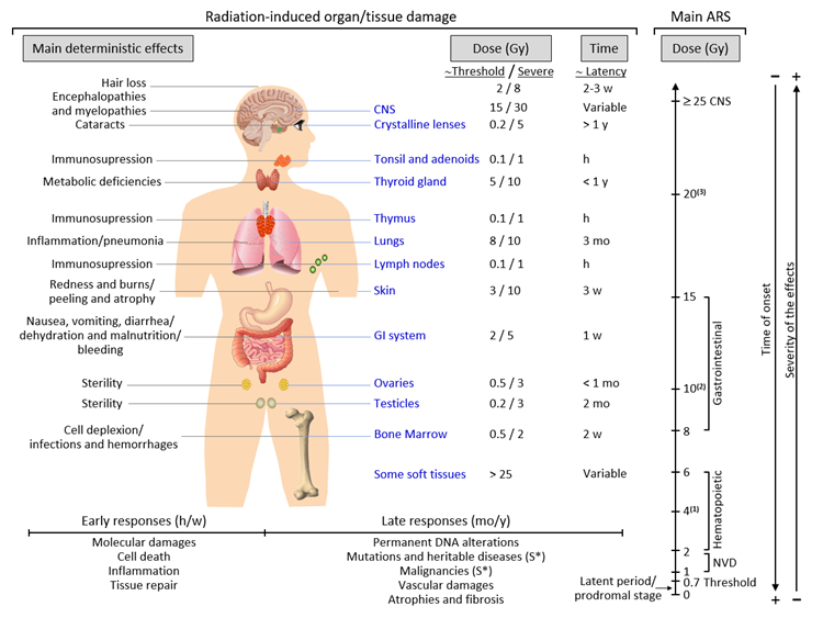 Index  Health Effects of Exposure to Low Levels of Ionizing