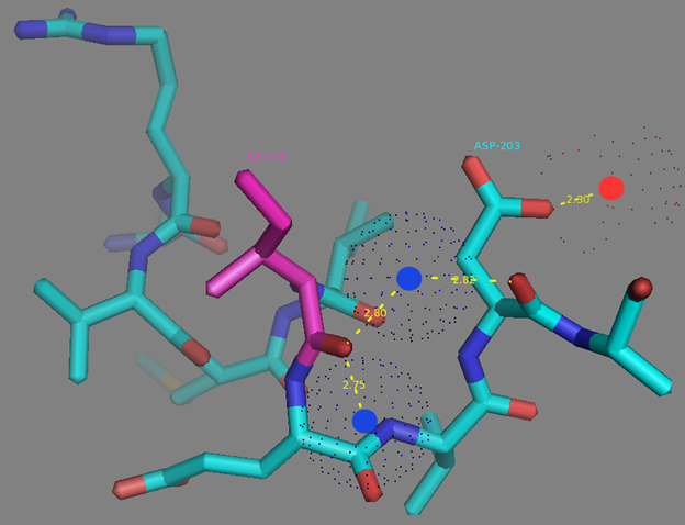 Figure S10. I200 residue surrounding and H-bonds network to the D203 residue from EF2 calcium coordinating center according to NCaMP7 X-ray structure (PDB ID - 6XW2). H-bonds network is shown as dash lines between I200 (in magenta), water molecules (in blue dots), E203 and calcium ion from EF2 (red sphere).