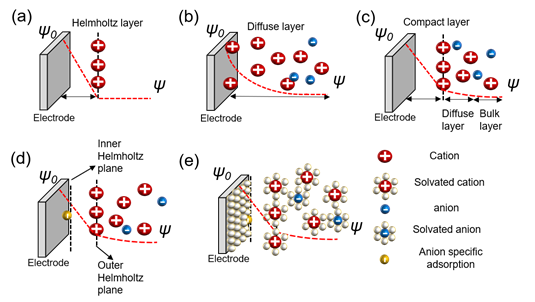 Engineering a self-adaptive electric double layer on both