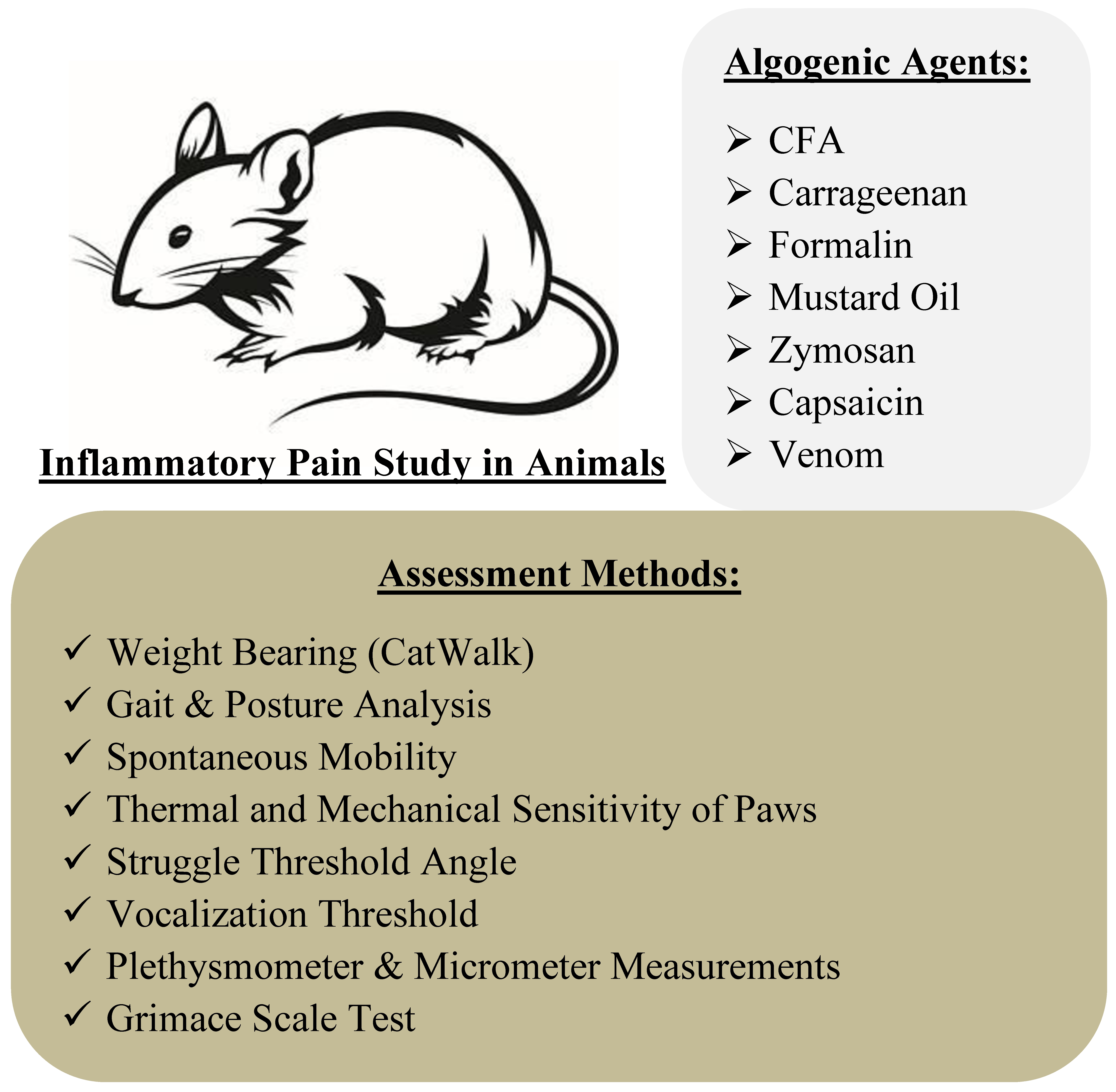 Inflammatory Pain Study in Animal-Models | Encyclopedia MDPI