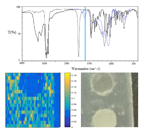 Scanless And Detectorless Imaging System Encyclopedia