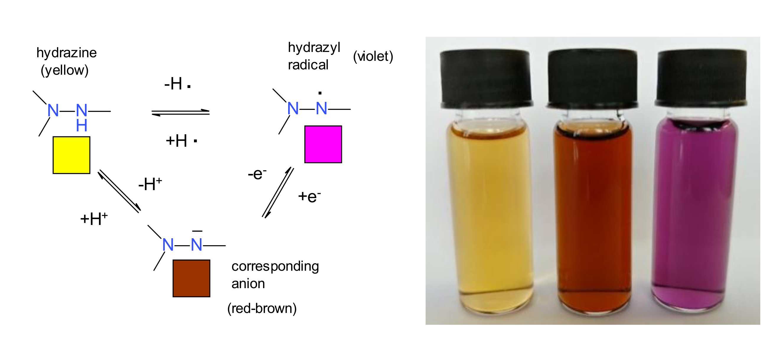 DPPH Stable Free Radical Encyclopedia MDPI