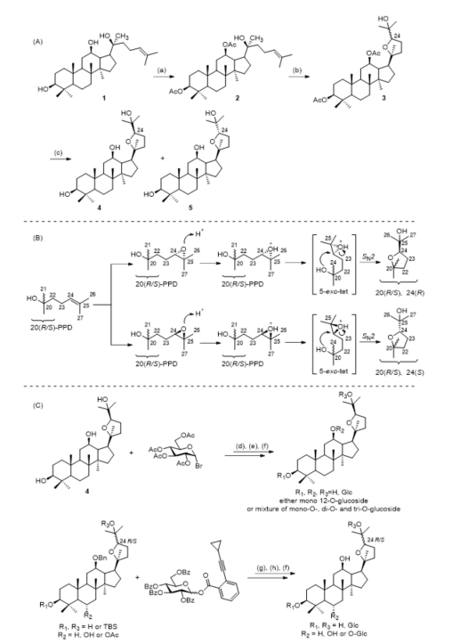 Ocotillol Type Triterpenoids Encyclopedia