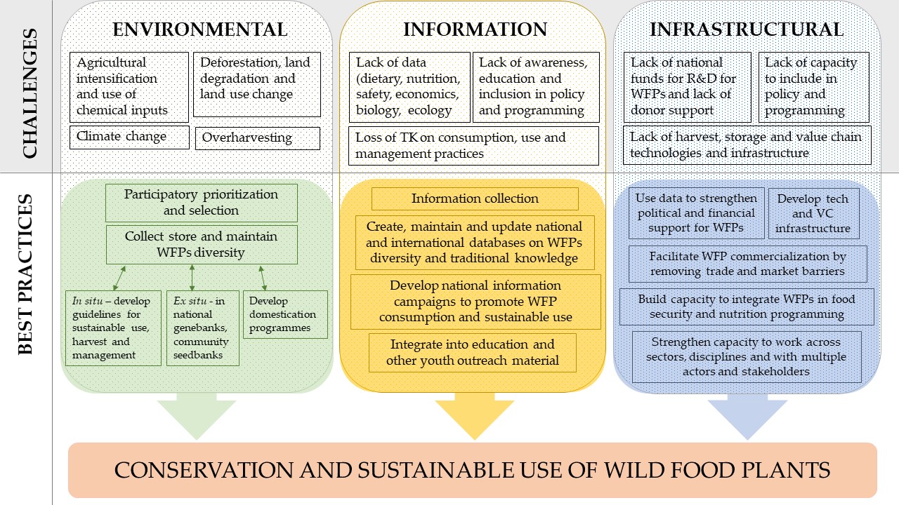 Best practices for WFP conservation