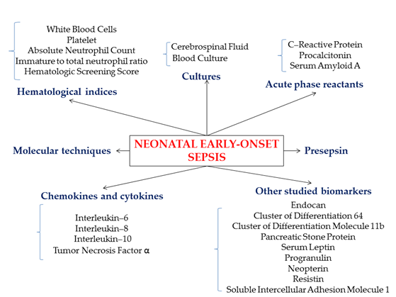 Neonatal Early Onset Sepsis Encyclopedia Mdpi