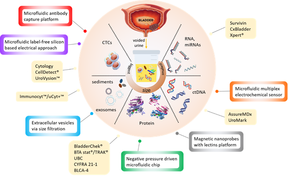 Urinary Biomarkers for Bladder Cancer