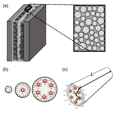 Electrical double layer  Capacitance, Electrolytes, Adsorption