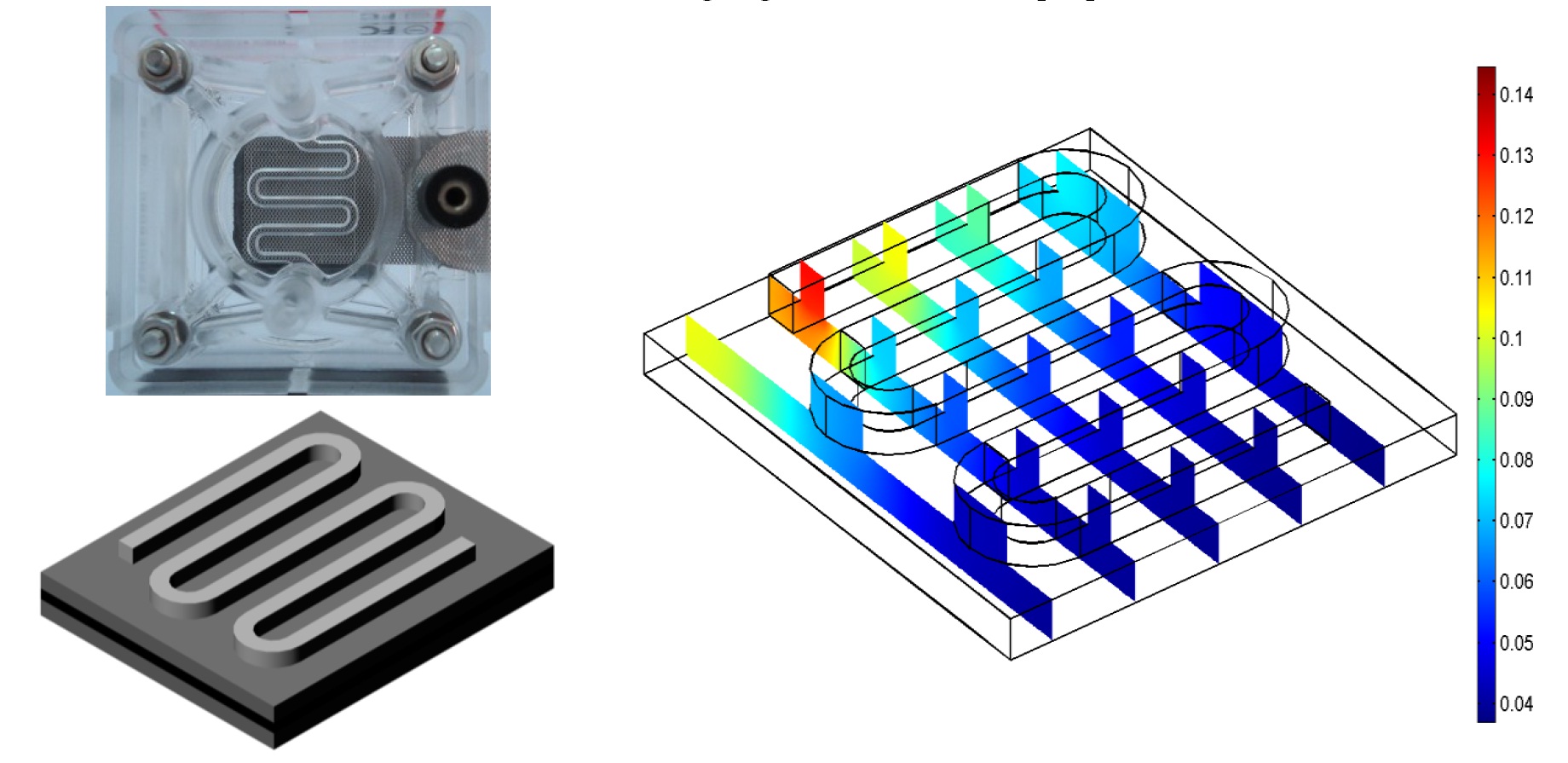 Figure 4. Three-dimensional computational domain and oxygen weight fraction distribution in micro PEM fuel cell with serpentine gas flow channels [11].