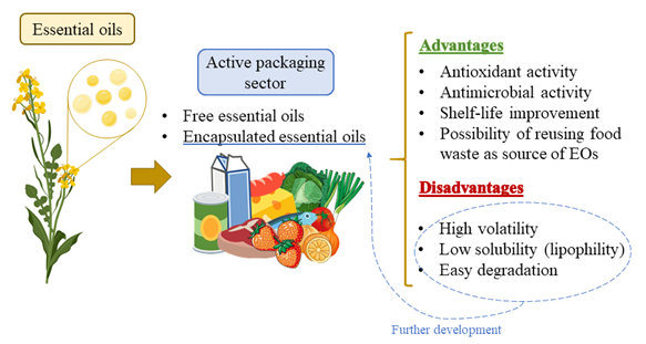 Where Do Essential Oils Come From