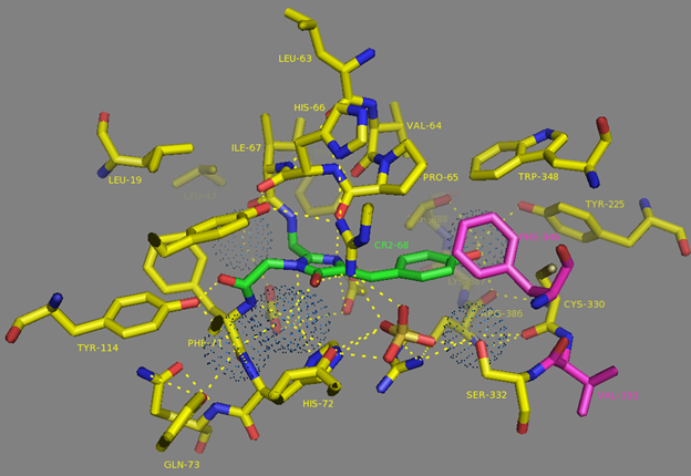 Figure S5. 6.0Å chromophore environment according to NCaMP7 X-ray structure (PDB ID - 6XW2). Chromophore, 6.0Å-surrounding residues, water molecules as dots and V331, F346 residues are shown in green, yellow, blue and magenta colors, respectively. H-bonds are shown as dash lines.