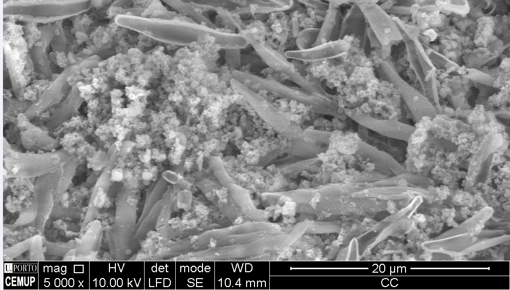 Phaeodactylum tricornutum cells pretreated with acid