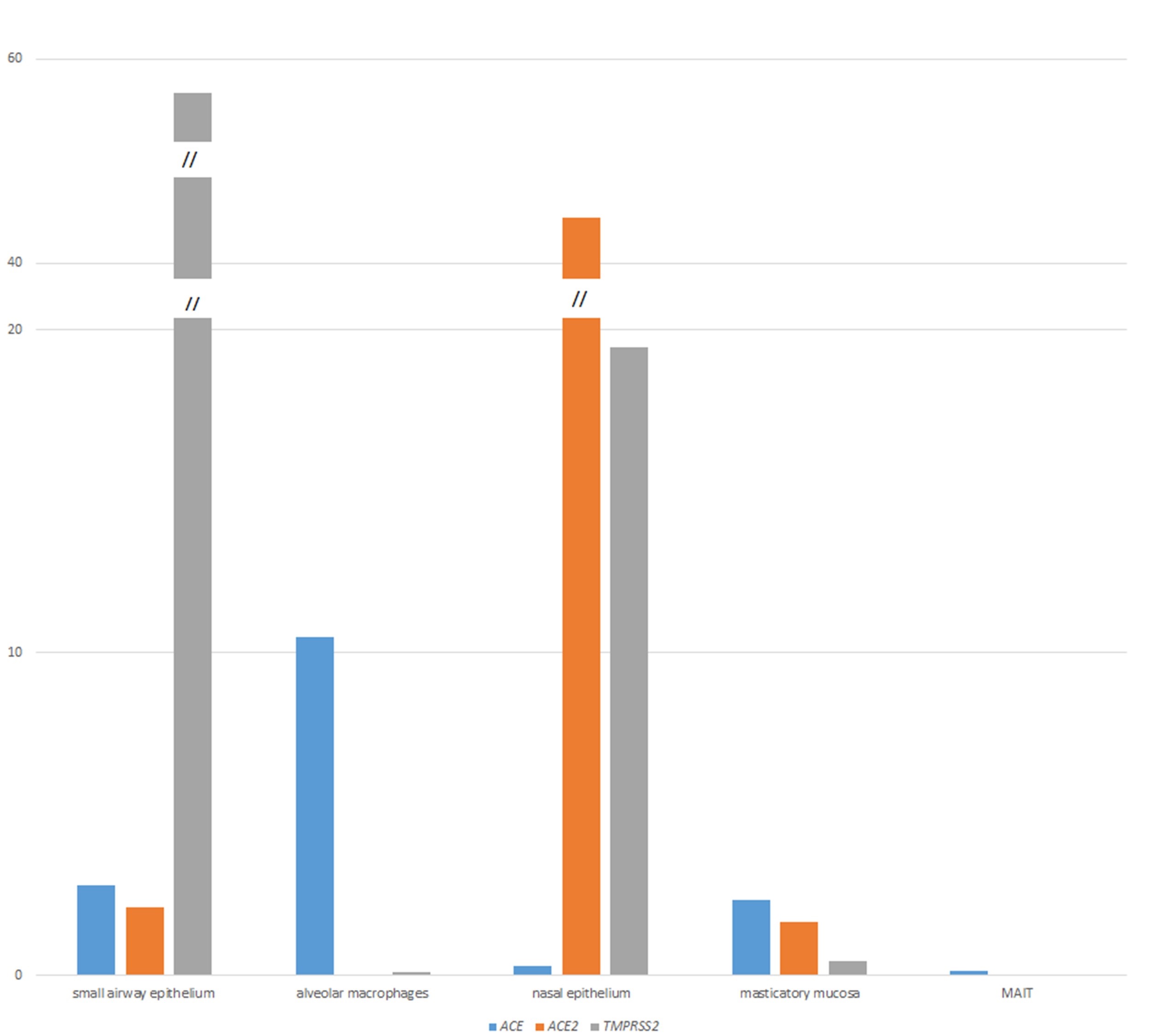 Figure 1. The expression of ACE, ACE2, and TMPRSS2 in five different types of samples. Y-axis represents FPKM values.