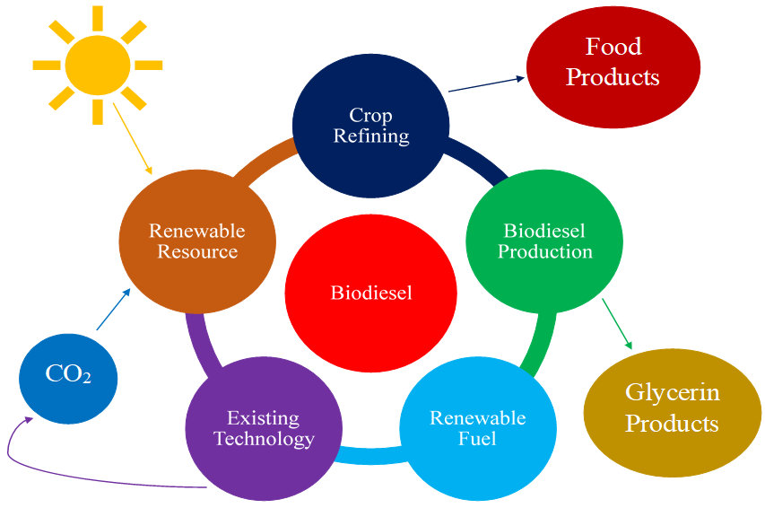 Biodiesel Production Technologies | Encyclopedia MDPI