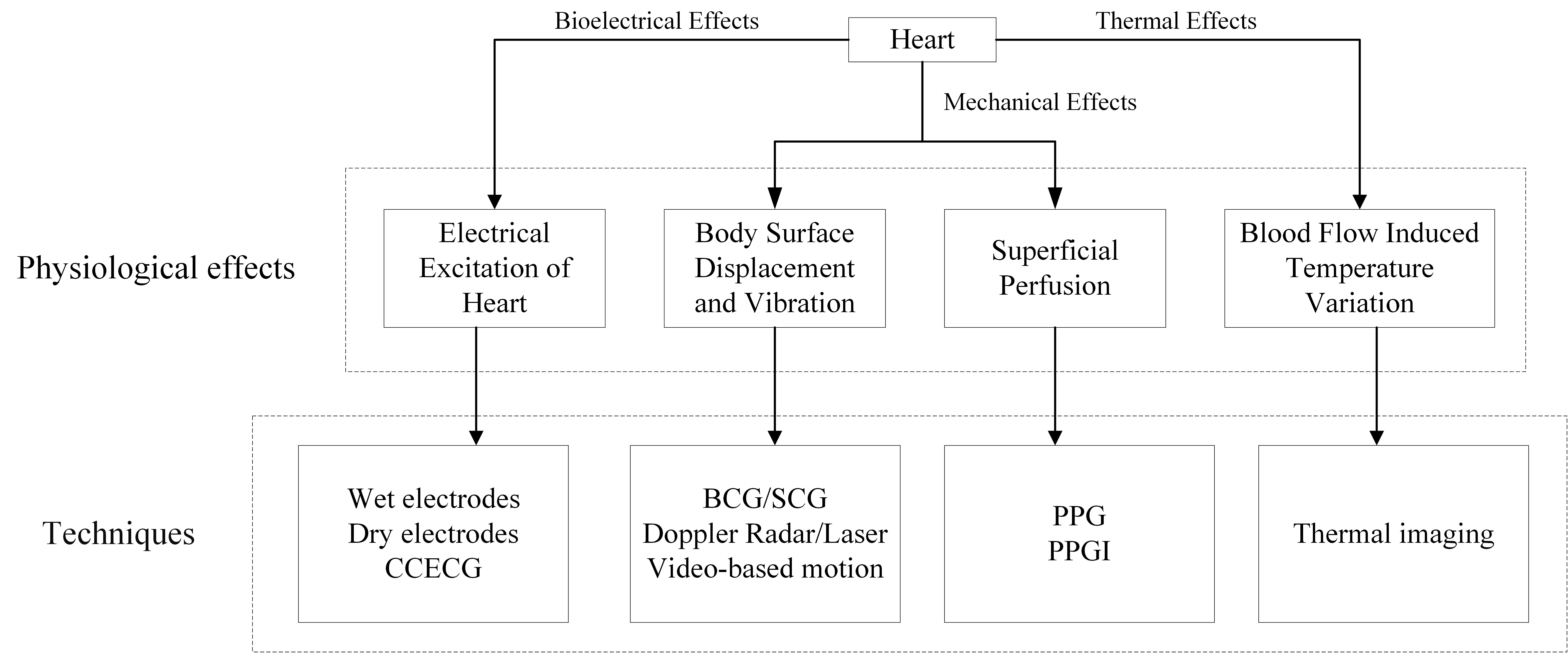 Figure 1. Overview of physiological effects and respective techniques for heart rate (HR) measurement.