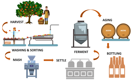 Apple Juice Fermentation Process Encyclopedia MDPI