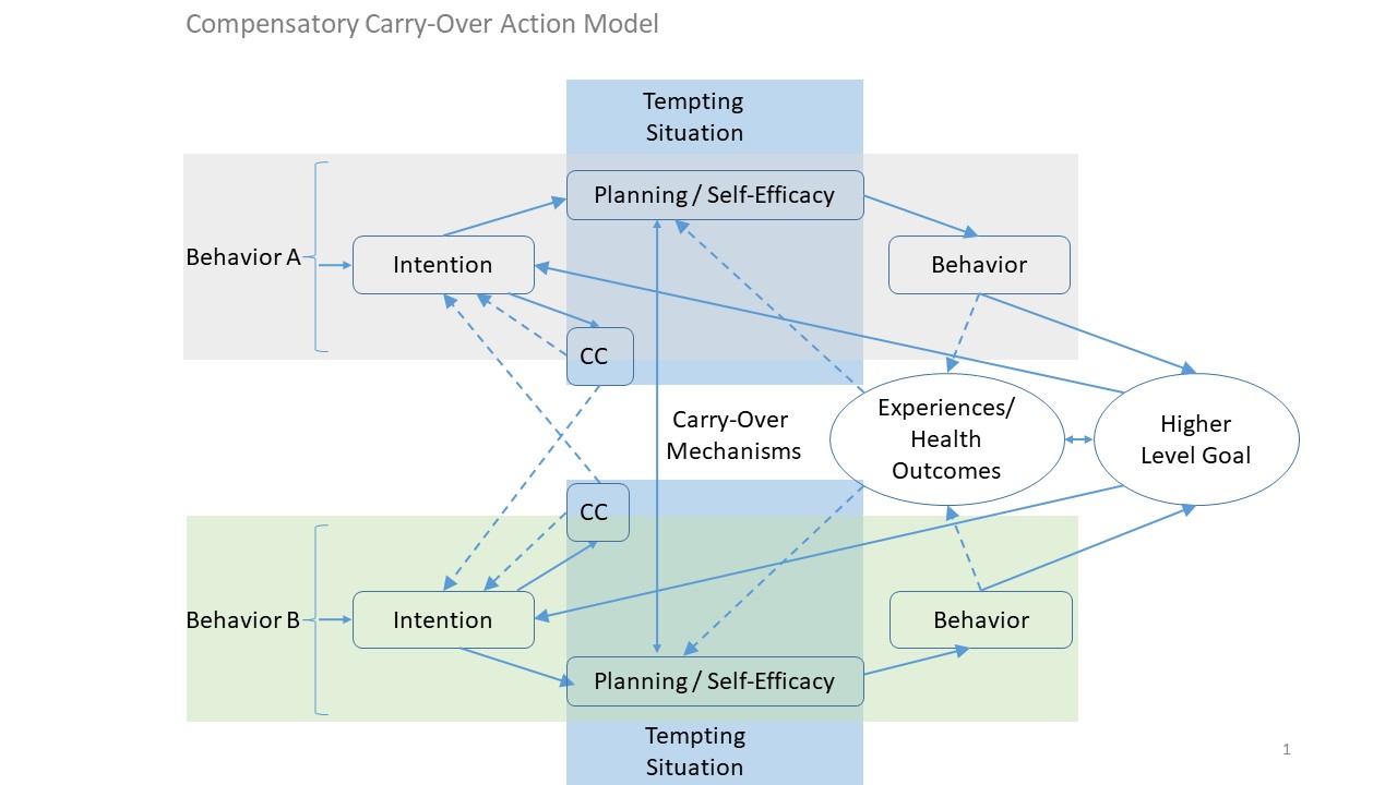 Figure CCAM Structure