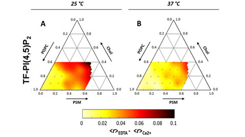 PI(4,5)P2 and Cholesterol: Synthesis, Regulation, and Functions