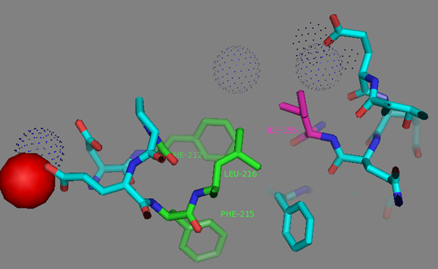 Figure S12. I156 residue surrounding and network to the residues in EF2 coordinating calcium ion according to NCaMP7 X-ray structure (PDB ID - 6XW2). Calcium ion from EF2 is shown as red sphere. Side group of I156 residue (in magenta) is exposed to the hydrophobic pocket which is formed by residues from EF2 (F212, in green) and adjacent to EF2 amino acids (F215 and L216, in green). Water molecules are shown in blue dots.