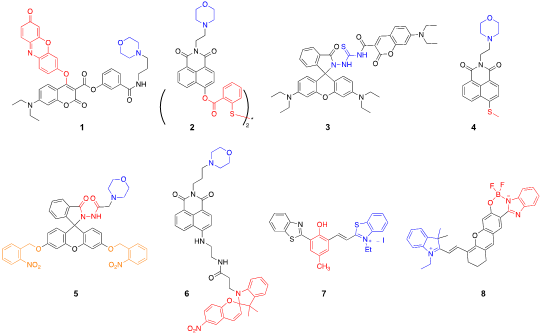 Two-color nanoscopy of organelles for extended times with HIDE probes