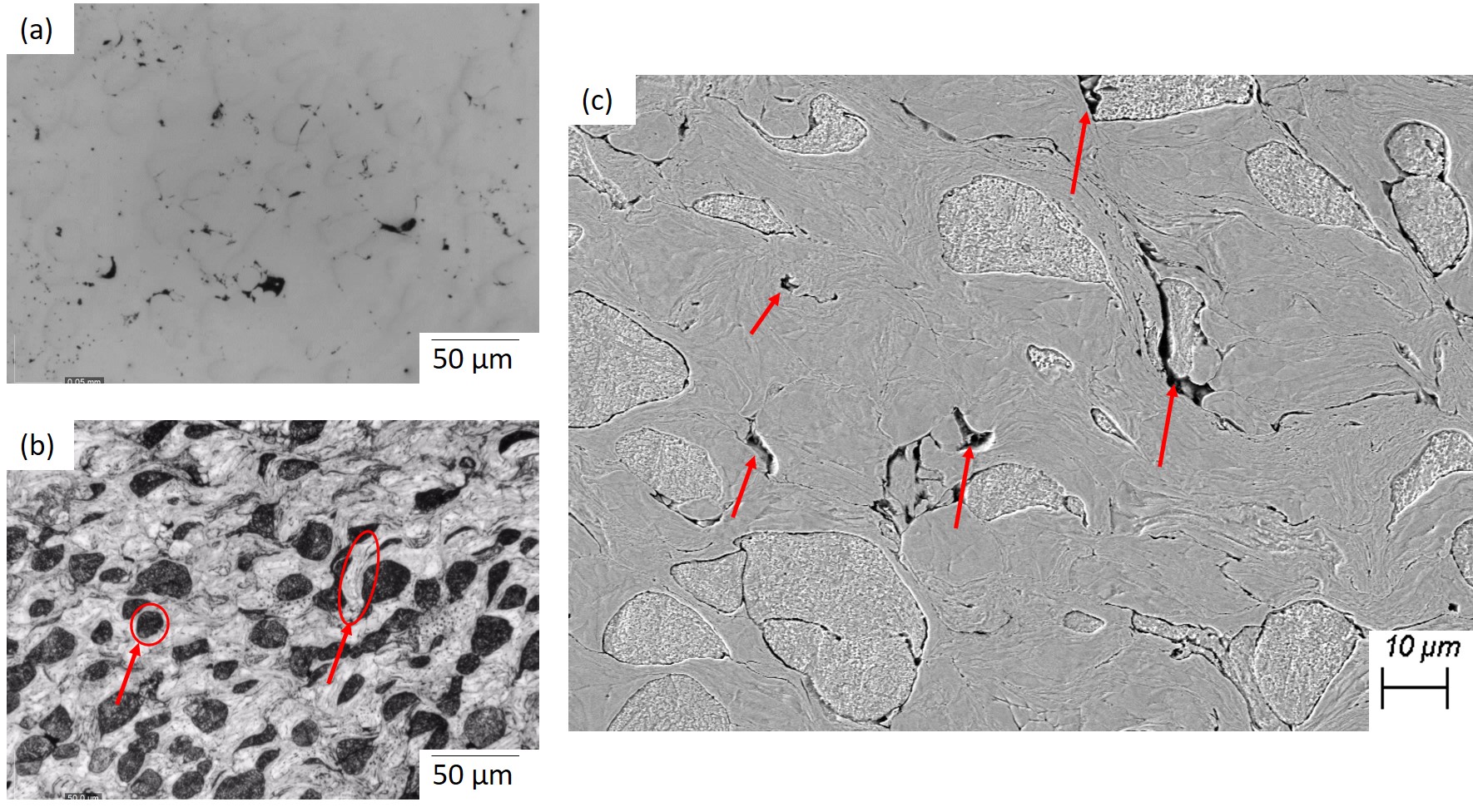 Cross-sectional images of the cold spray 50% IN718 – 50% Ni coating: (a) OM image; (b) OM image after etching; (c) SEM image.