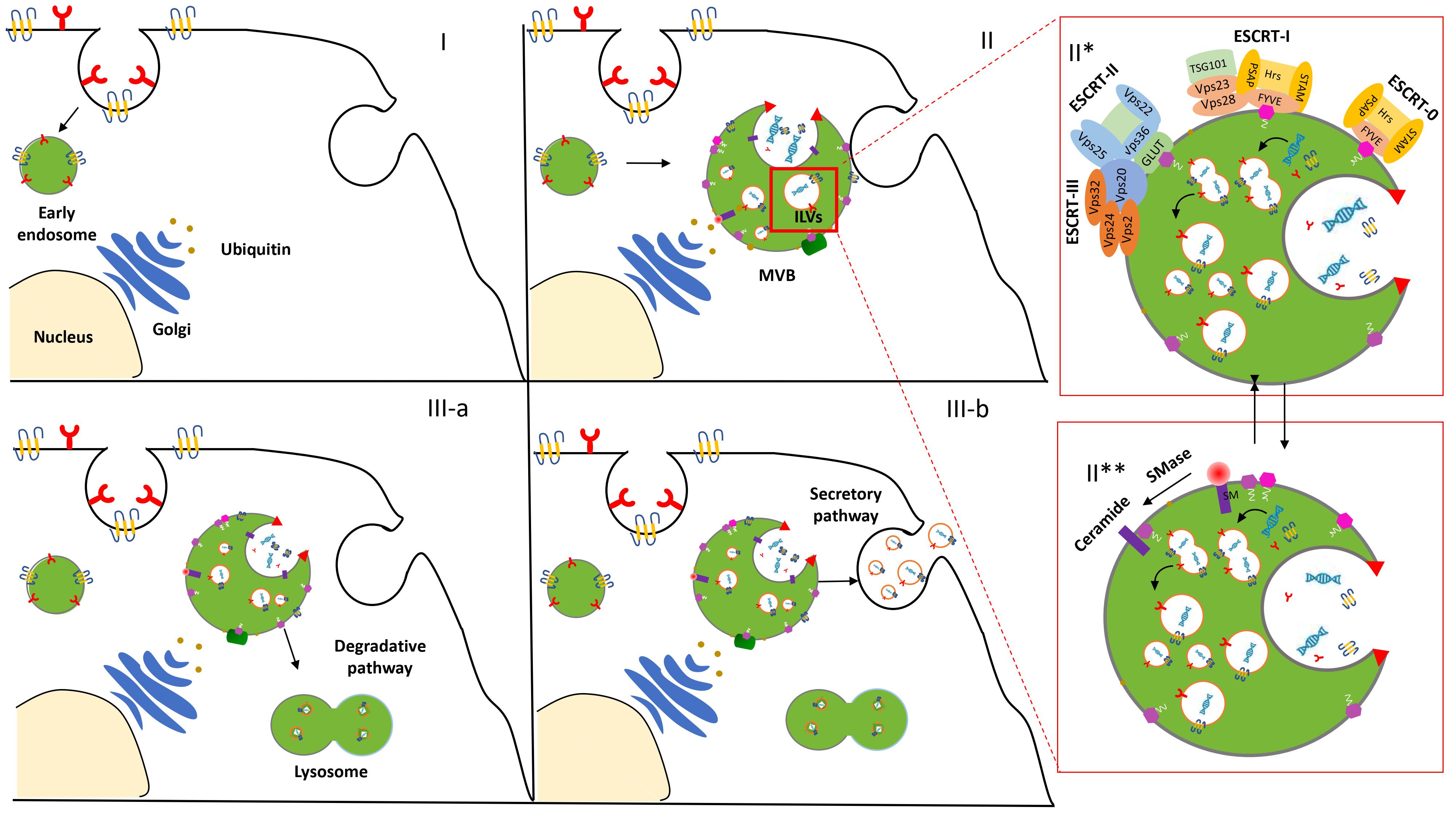 Biogenesis