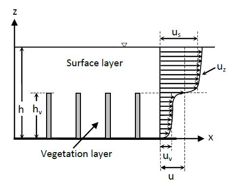 Figure 2. Side view of submerged vegetation and velocity profile