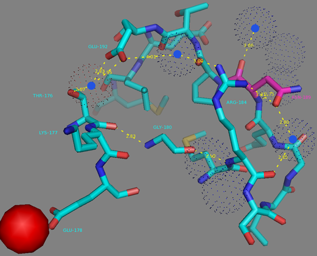 Figure S9. N189 residue surrounding and H-bonds network to the T176 residue from EF1 calcium coordinating center according to NCaMP7 X-ray structure (PDB ID - 6XW2). H-bonds network is shown as dash lines between N189 (in magenta), R184, water molecules (in blue dots), E192, G180 and T176. Calcium ion from EF1 is shown as red sphere. 