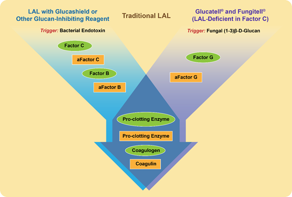 Detection Of Beta Glucan Encyclopedia