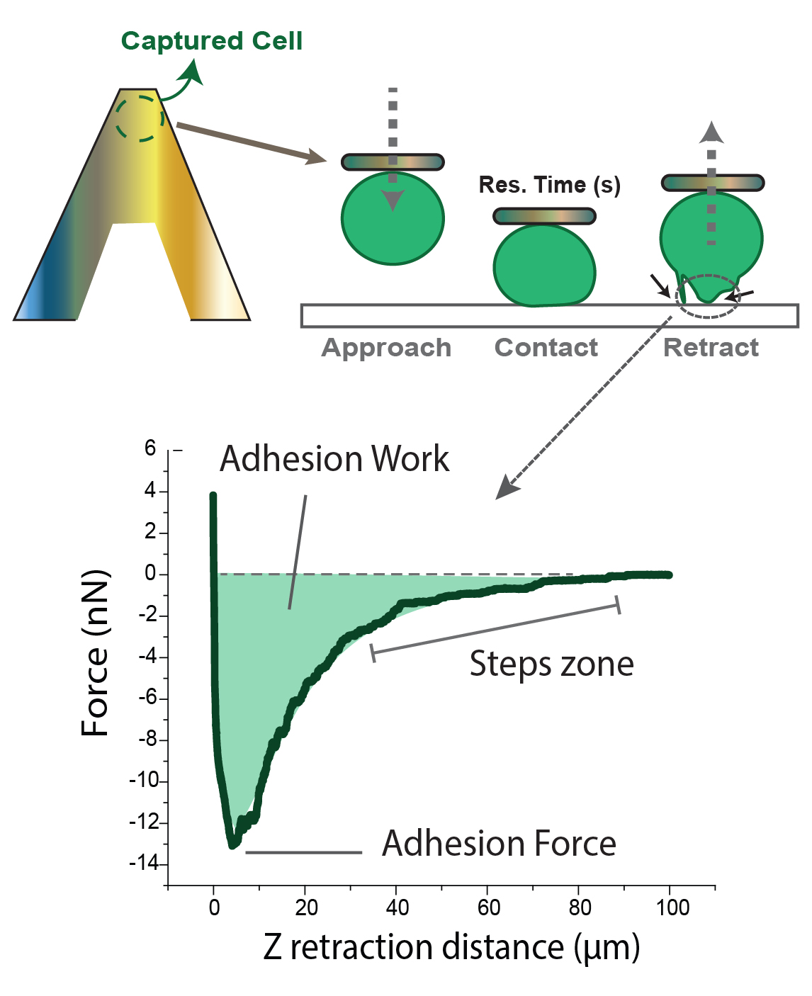 Experimental scheme