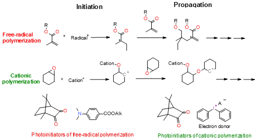 Figure 1 from Light-curing considerations for resin-based