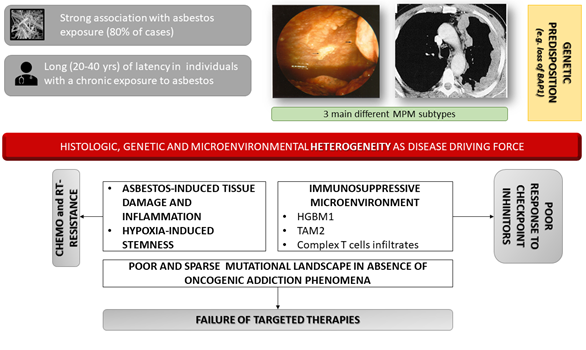 mesothelioma consortium