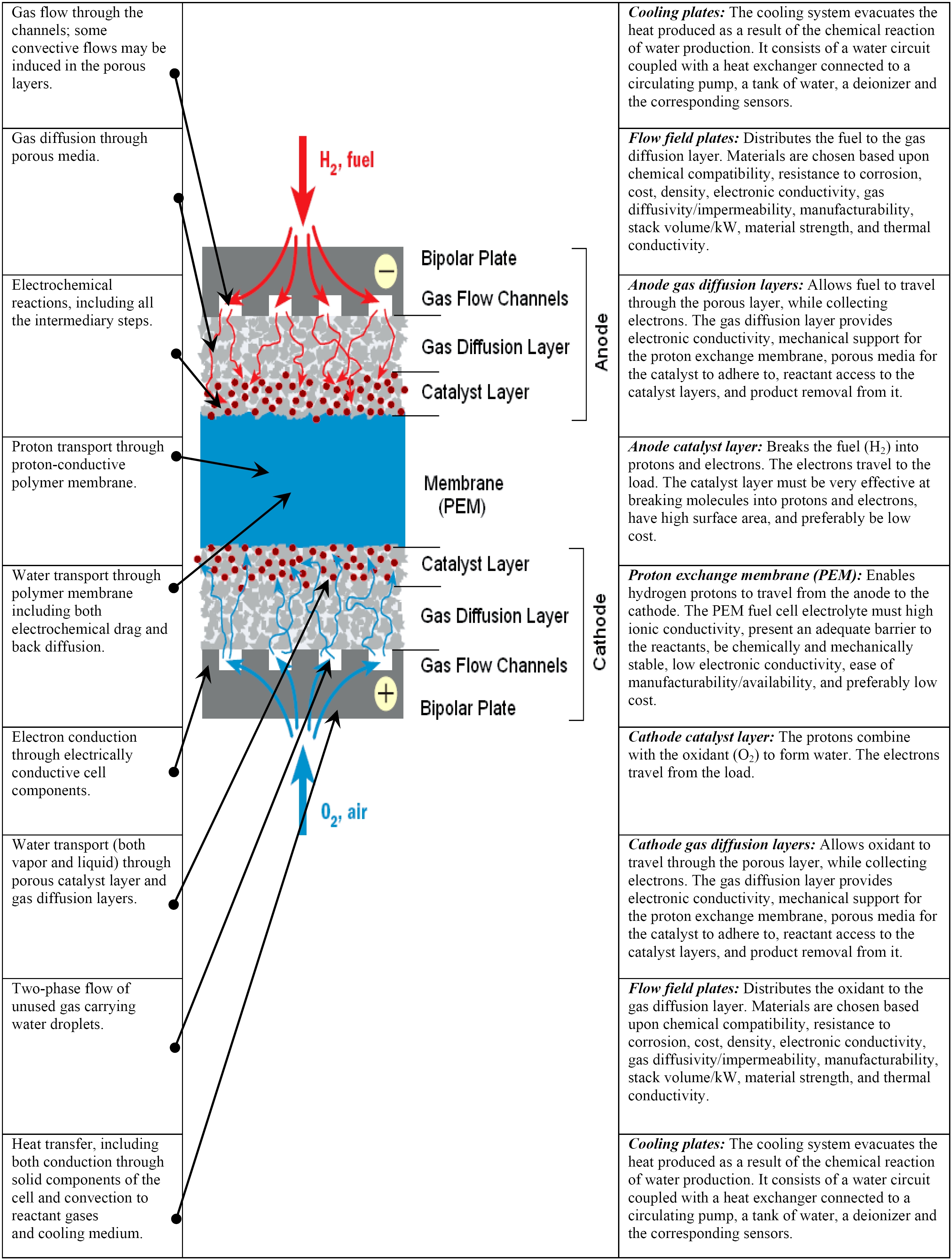 Figure 1. Main PEM fuel cell components and processes.