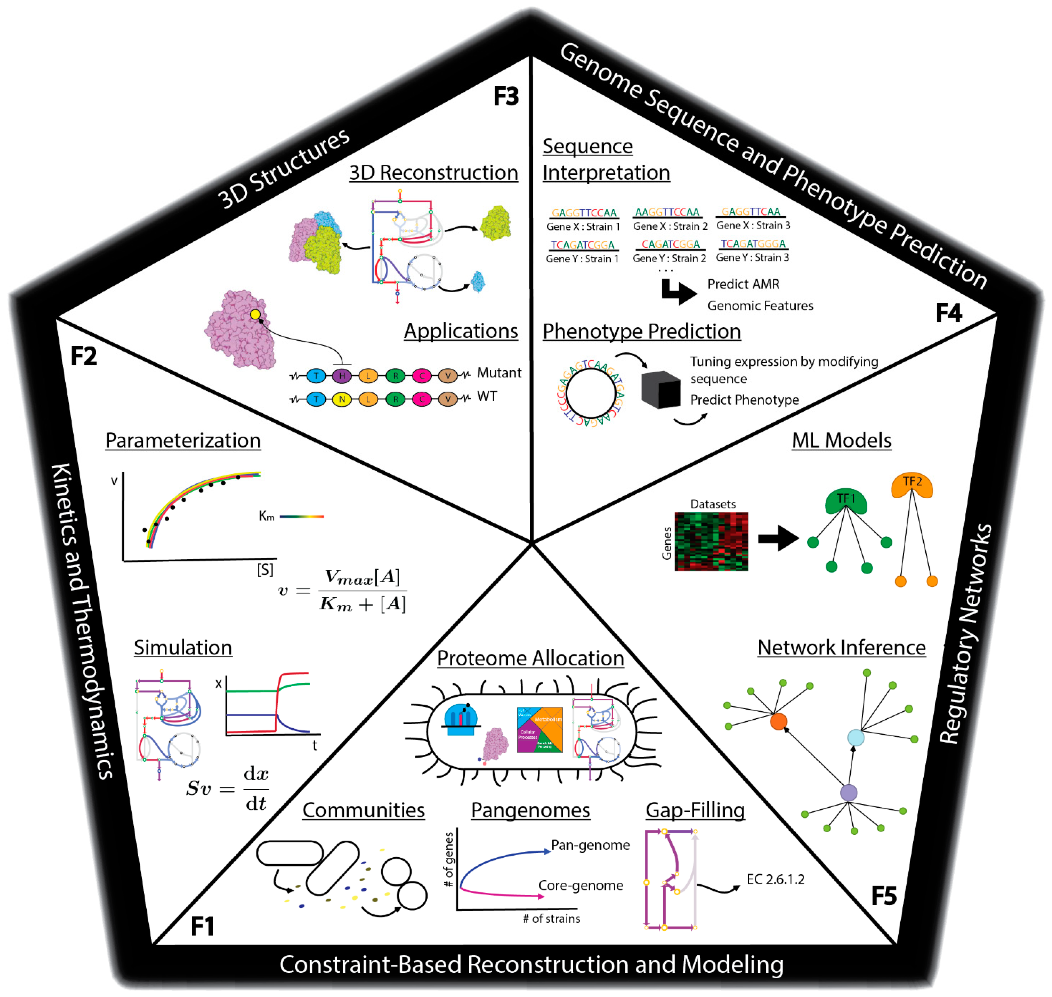 Engineering Microbial Phenotypes | Encyclopedia MDPI