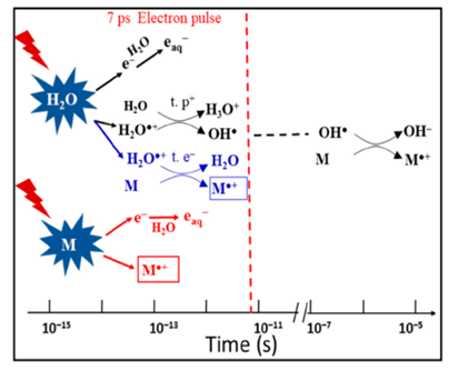 Water radical cations | Encyclopedia MDPI