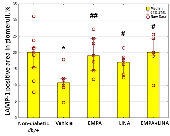 Fig. 8 B